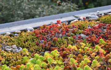 the cost of Tadnoll green roof installation