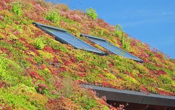 Tadnoll living roof systems