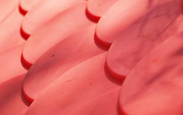 Tadnoll plastic roof costs