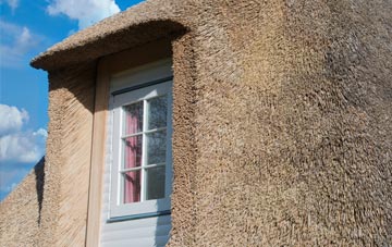 Tadnoll thatch roof disadvantages