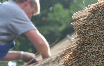 professional Tadnoll thatchers