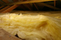 Tadnoll pitch roof insulation